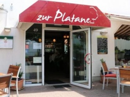 Foto: Zur Platane